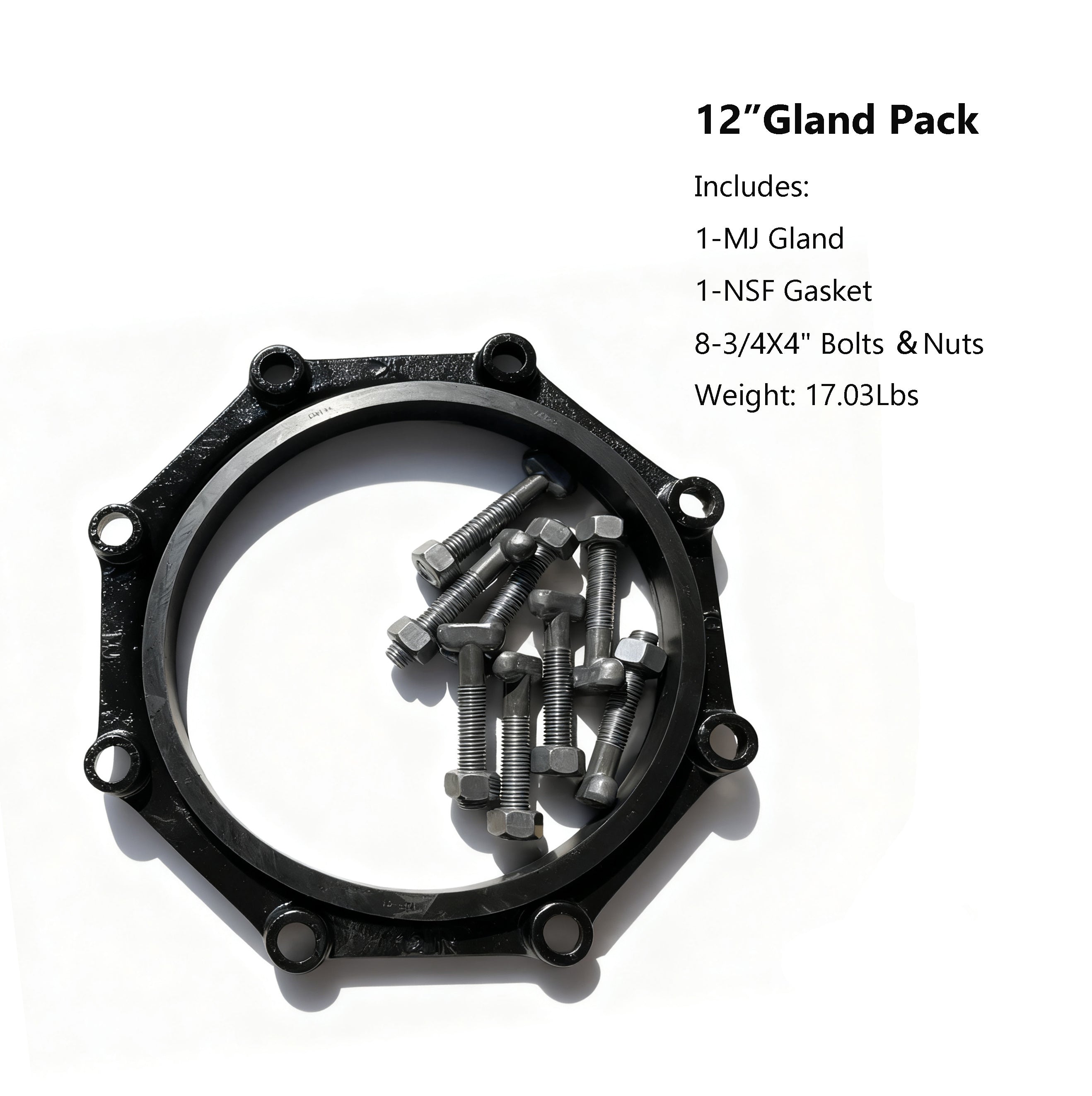 Gland Pack (Series A Includes Gland, Gasket, T-Head Bolts ＆Nuts)