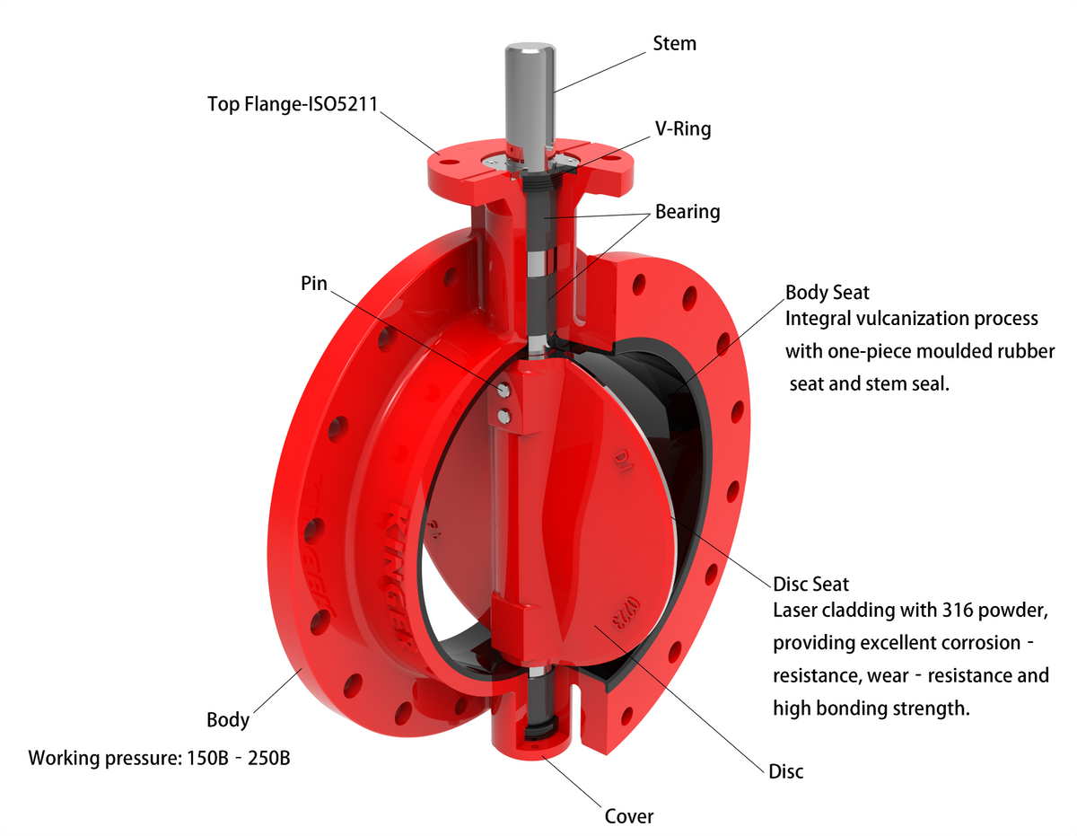 Concentric butterfly valve technical cutaway diagram