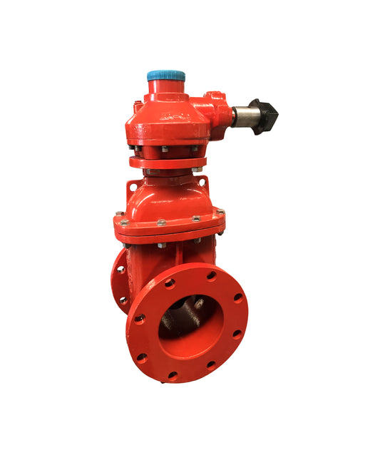 AWWA C509 Flanged Resilient NRS Gate Valve with Capnut & Gearbox(JHZ45XC-G)