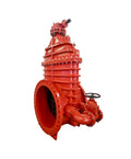AWWA C509 Flanged Resilient NRS Gate Valve with Capnut & Bevel Gearbox & Bypass 250PSI (JHZ45XC-GB)
