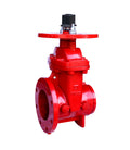 AWWA C515 NRS FLG x GRVD Gate Valve with Post Plate ( JKDZ485GFPF)